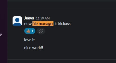 Message from the CEO reacting to the file manager release